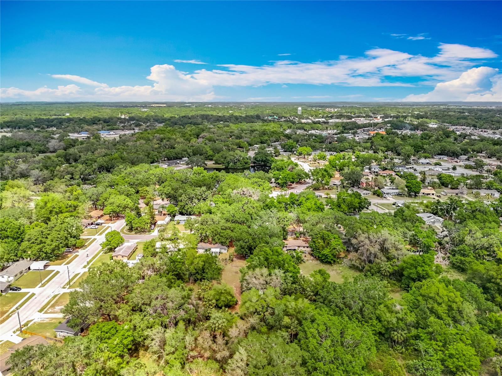 1611 HAMPTON RD, LEESBURG, FL, 34748