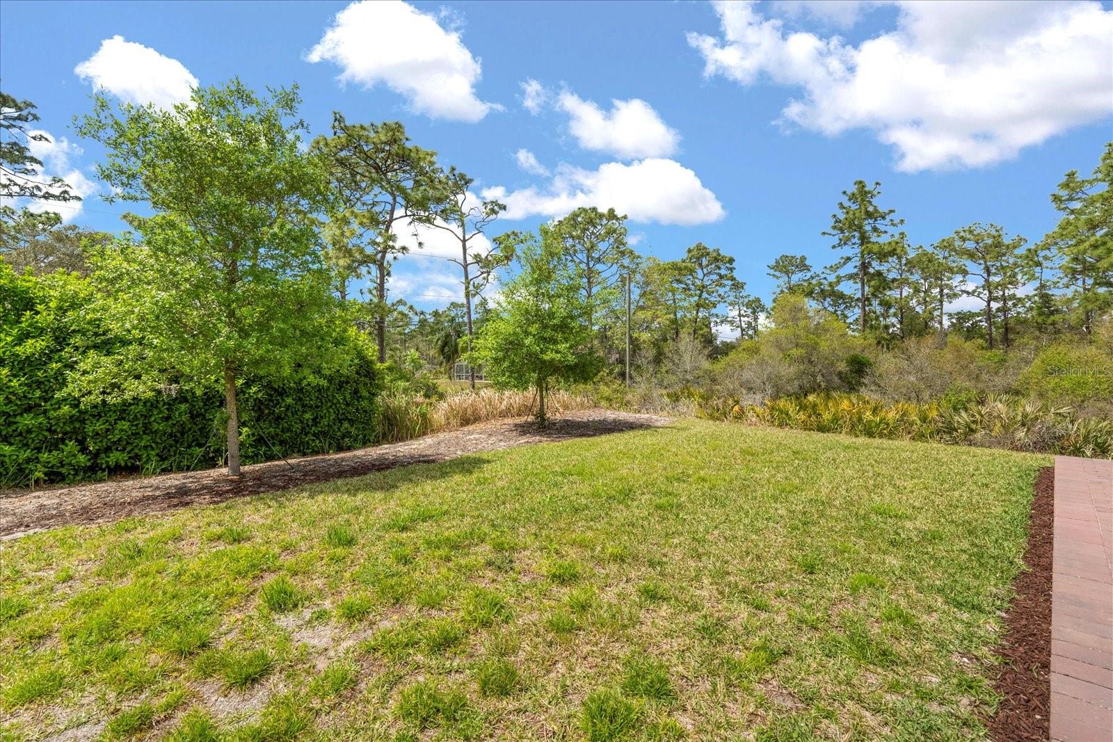 1559 SCRUB JAY CT, DELAND, FL, 32724