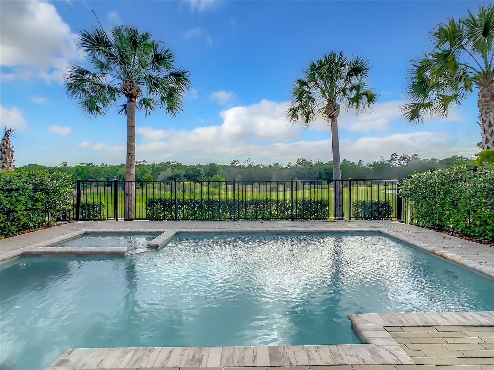 748 DESERT MOUNTAIN CT, REUNION, FL, 34747