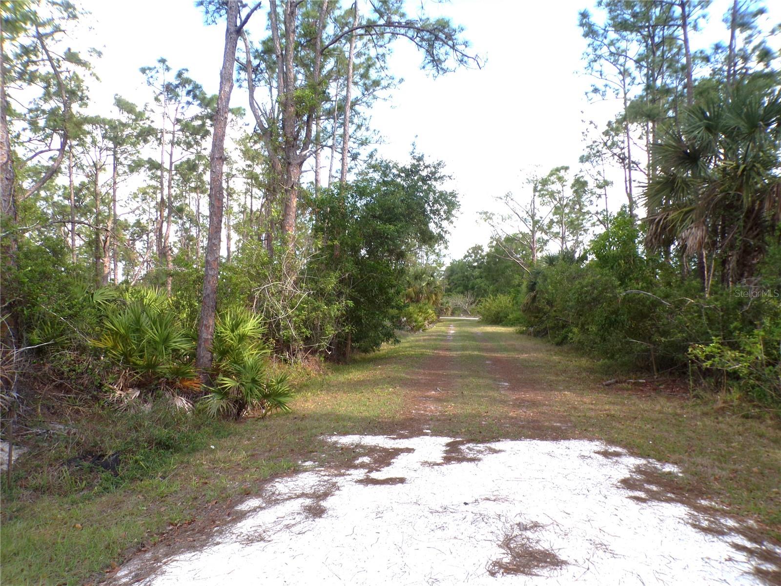 12386 AVIGNON AVE, PUNTA GORDA, FL, 33955