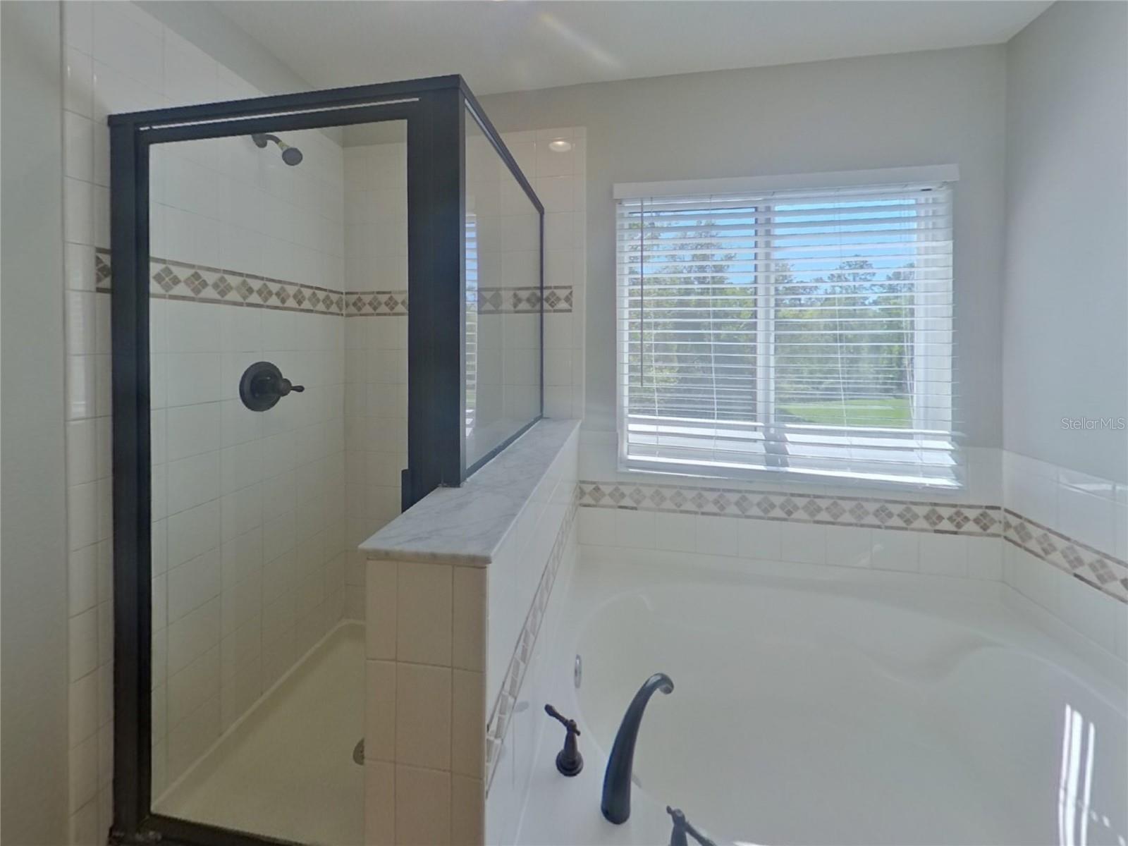 7222 BRIDGEVIEW DR, WESLEY CHAPEL, FL, 33545