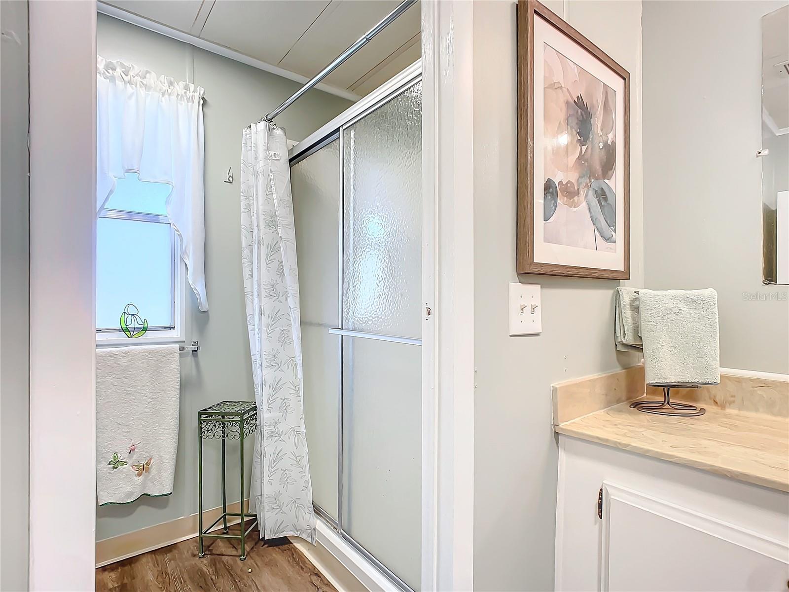 807 SWALLOW LN, OSTEEN, FL, 32764