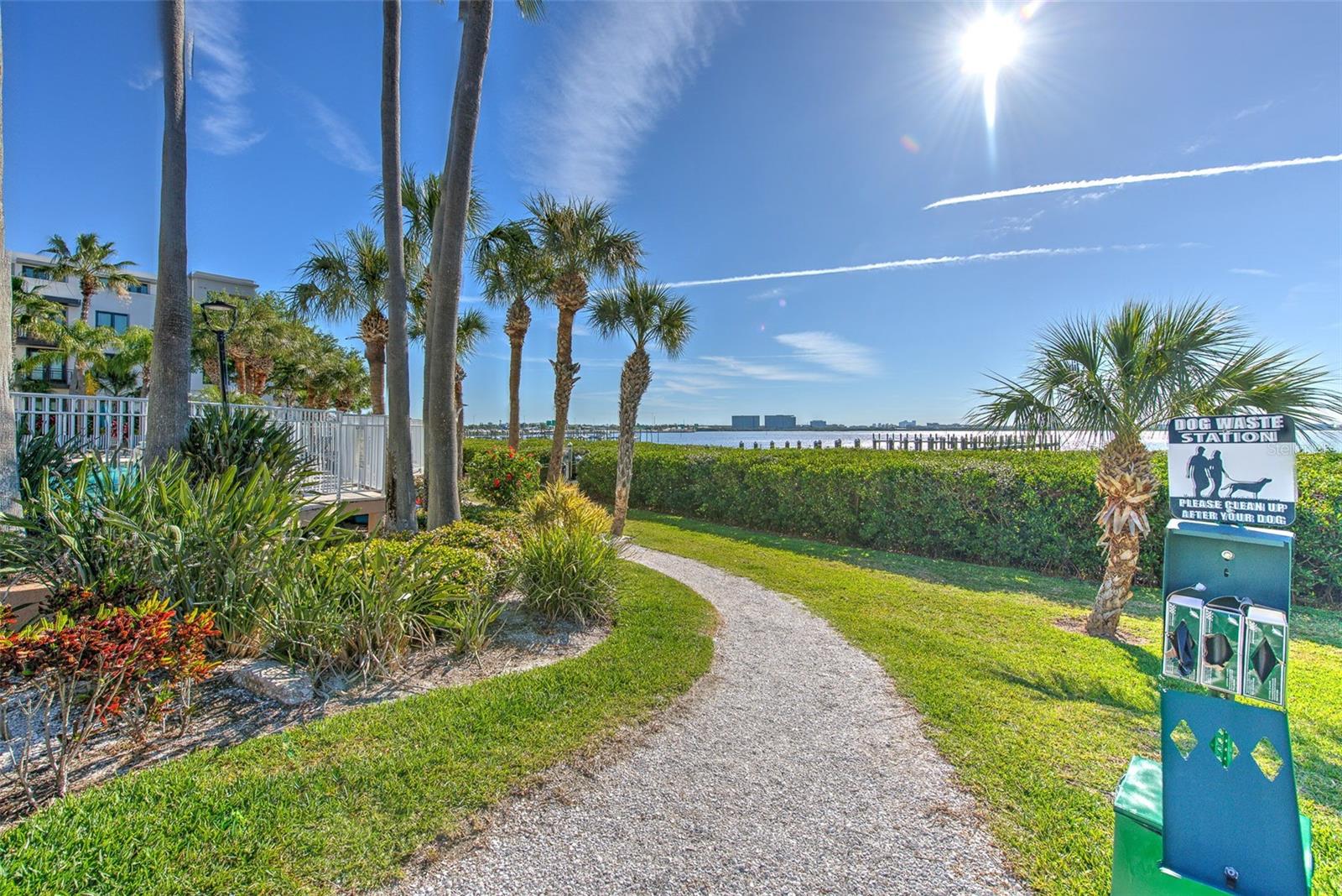 3312 BAY CLUB CIR #3312, TAMPA, FL, 33607
