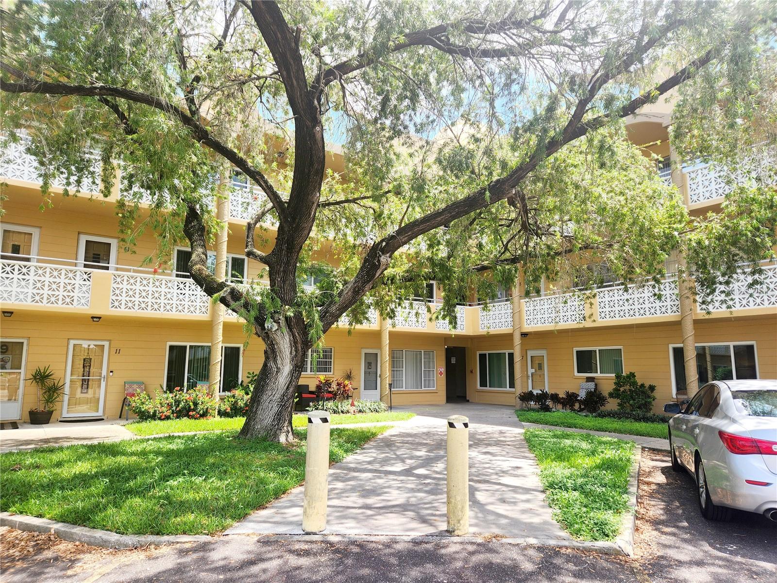 2467 FINLANDIA LN #19, CLEARWATER, FL, 33763