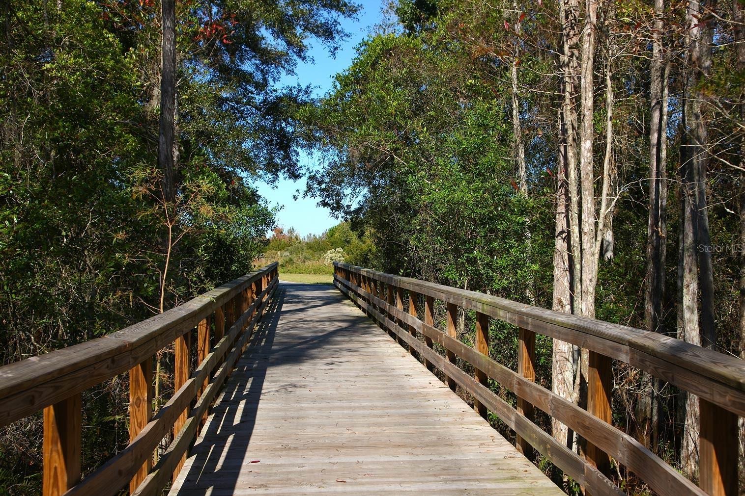 7770 PAINTED SKY PL, LAND O LAKES, FL, 34637