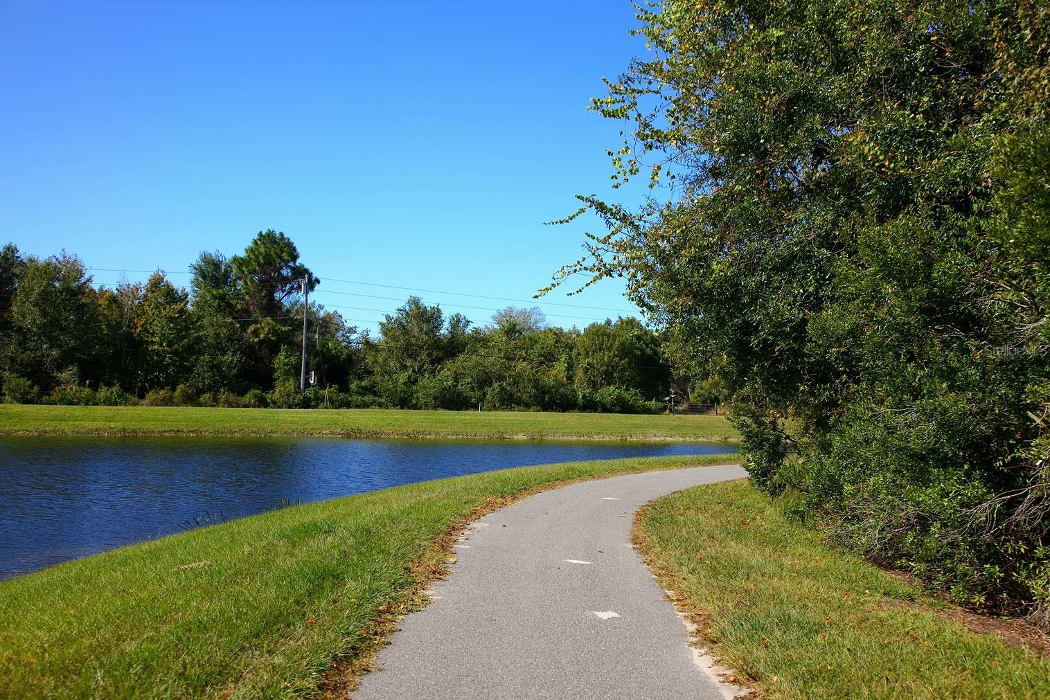 7770 PAINTED SKY PL, LAND O LAKES, FL, 34637