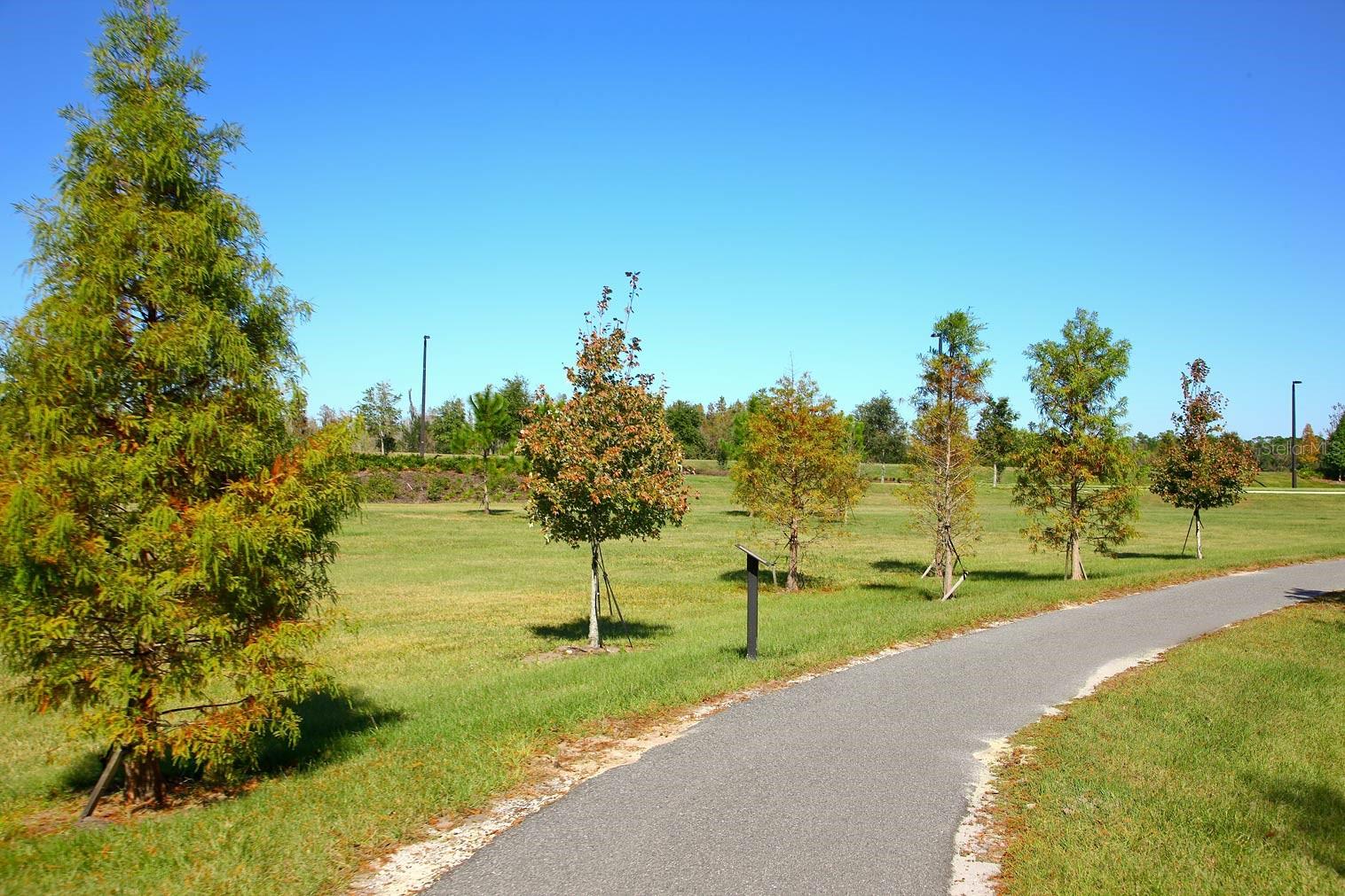 7770 PAINTED SKY PL, LAND O LAKES, FL, 34637