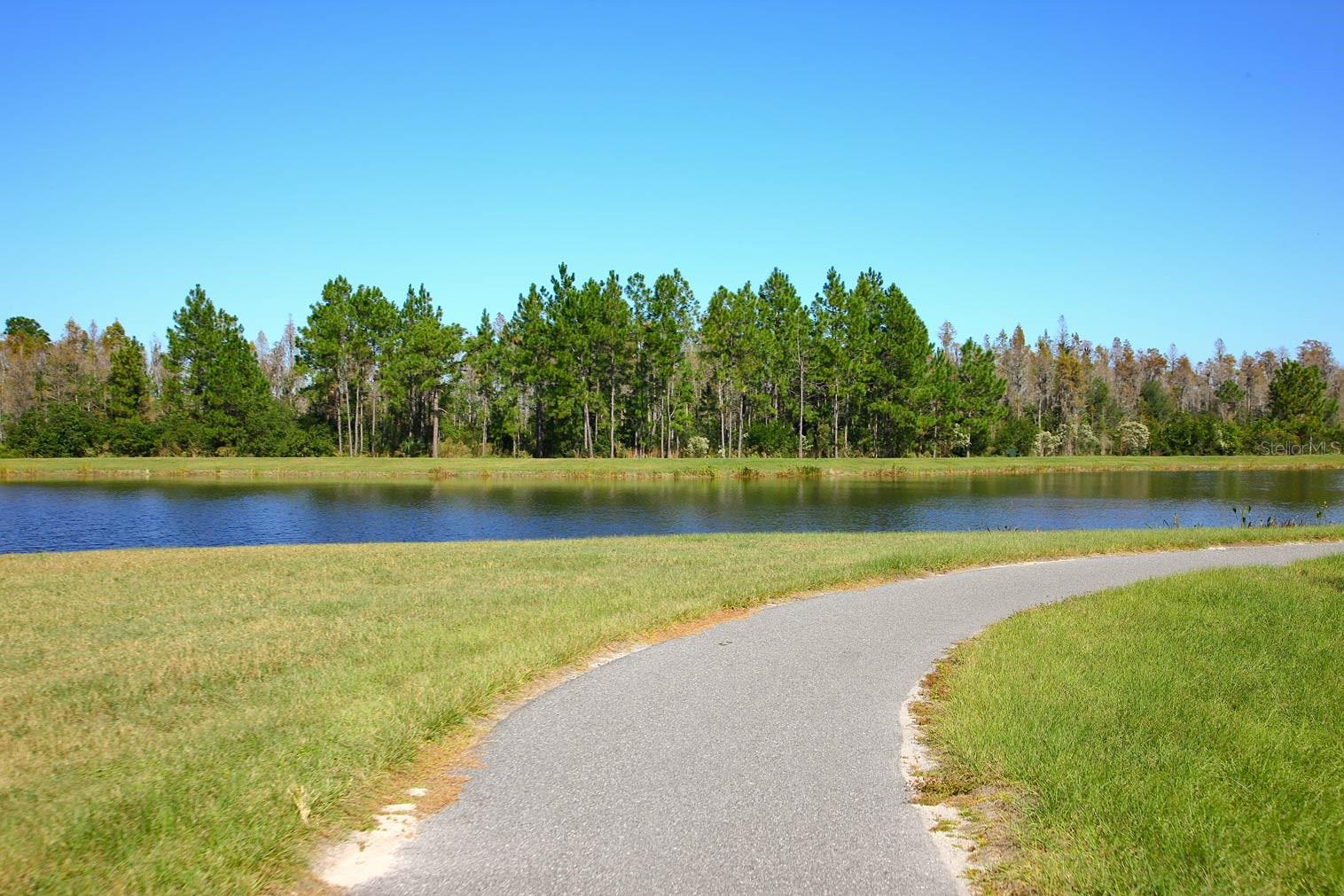 7770 PAINTED SKY PL, LAND O LAKES, FL, 34637