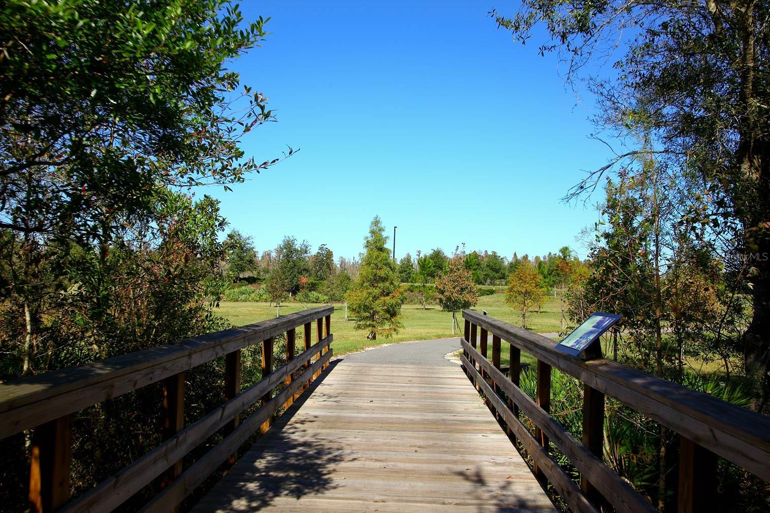 7770 PAINTED SKY PL, LAND O LAKES, FL, 34637