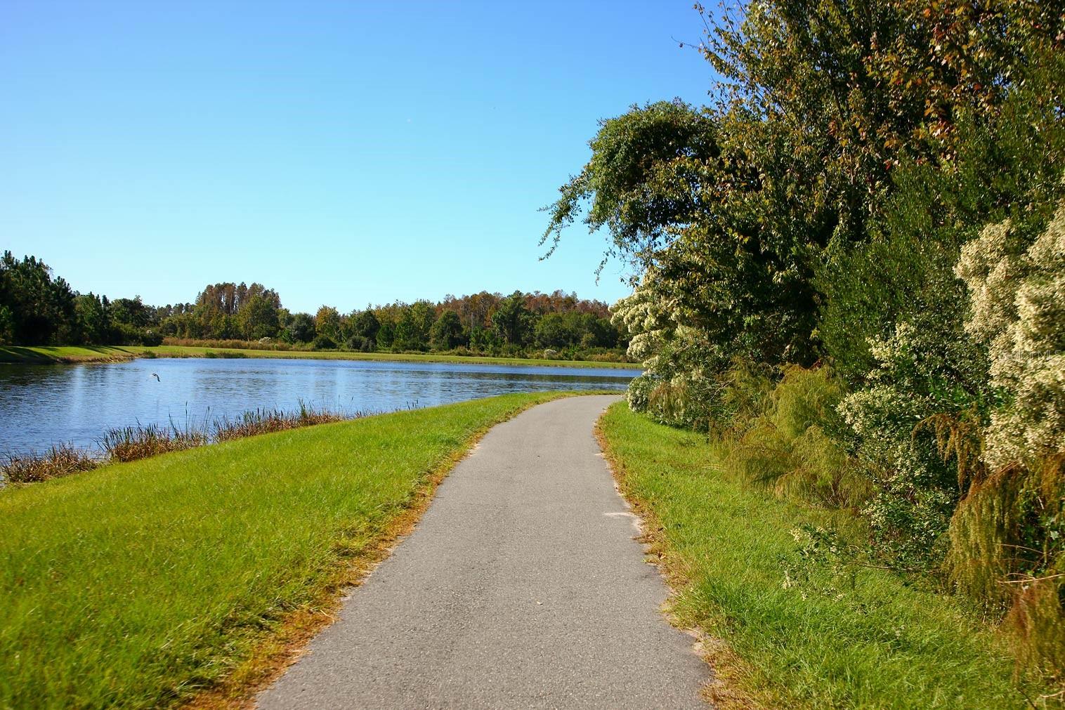 7770 PAINTED SKY PL, LAND O LAKES, FL, 34637