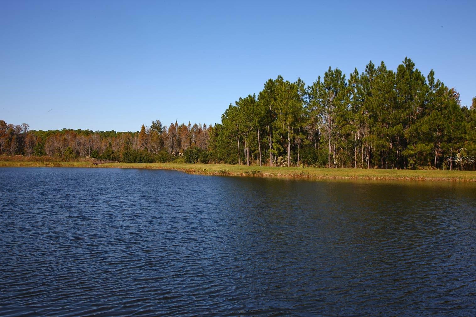 7770 PAINTED SKY PL, LAND O LAKES, FL, 34637