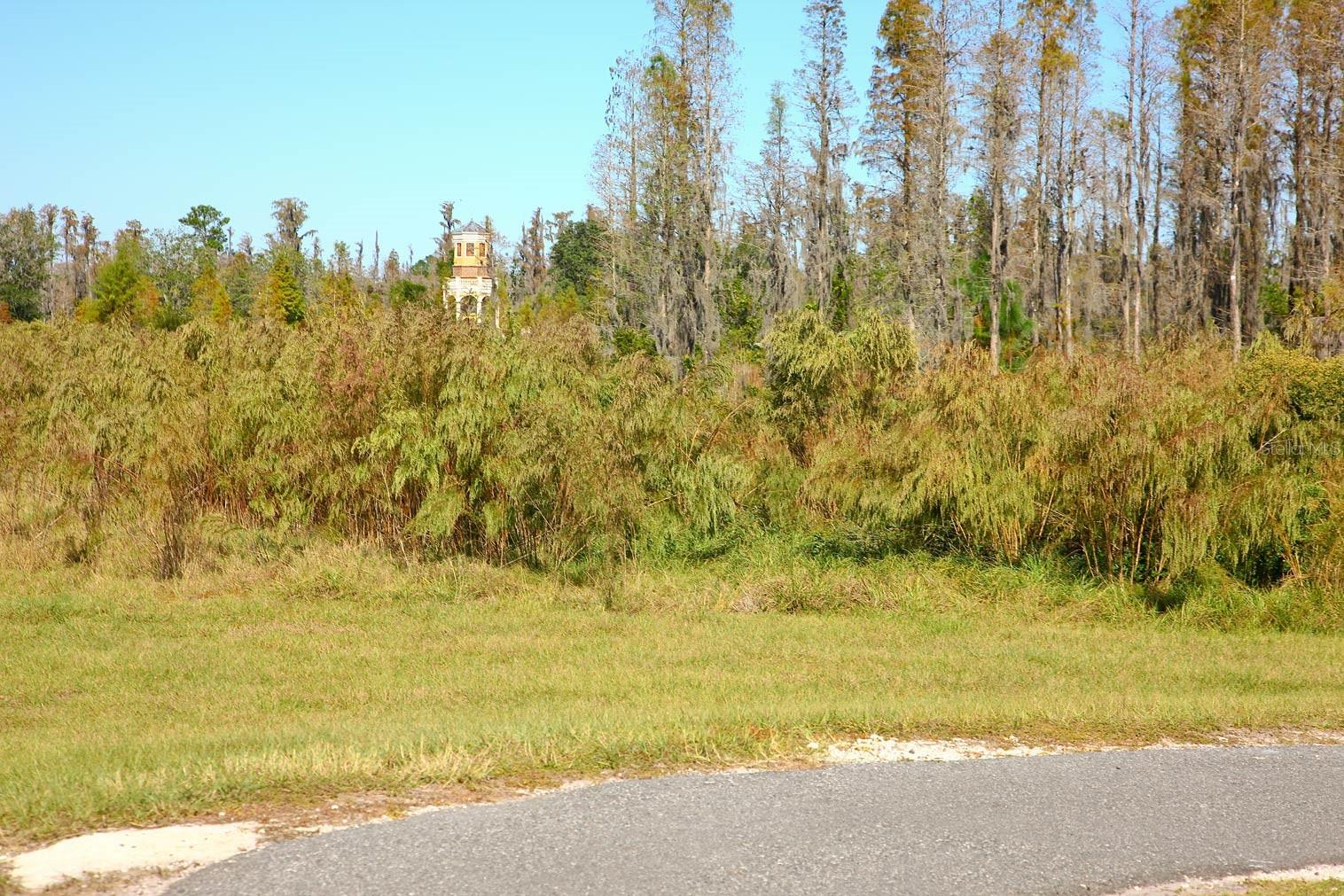 7770 PAINTED SKY PL, LAND O LAKES, FL, 34637