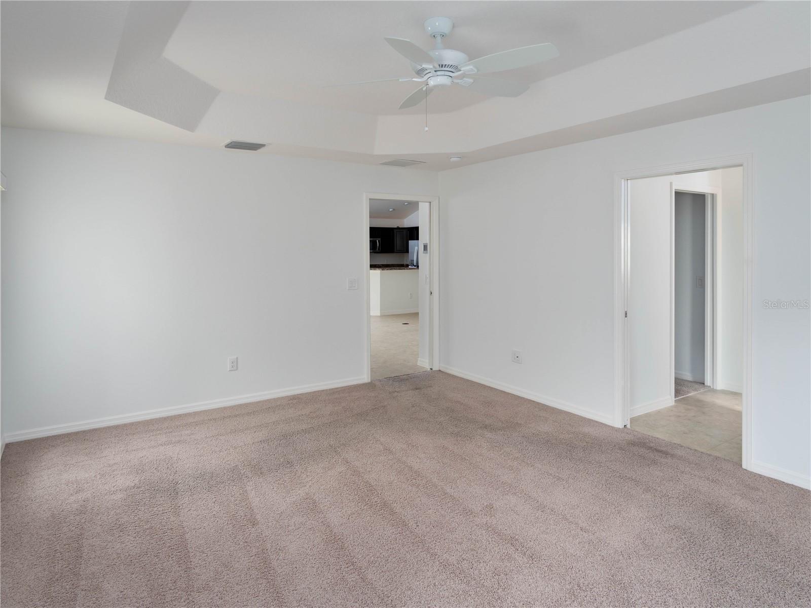 3942 ZENITH LOOP, THE VILLAGES, FL, 32163