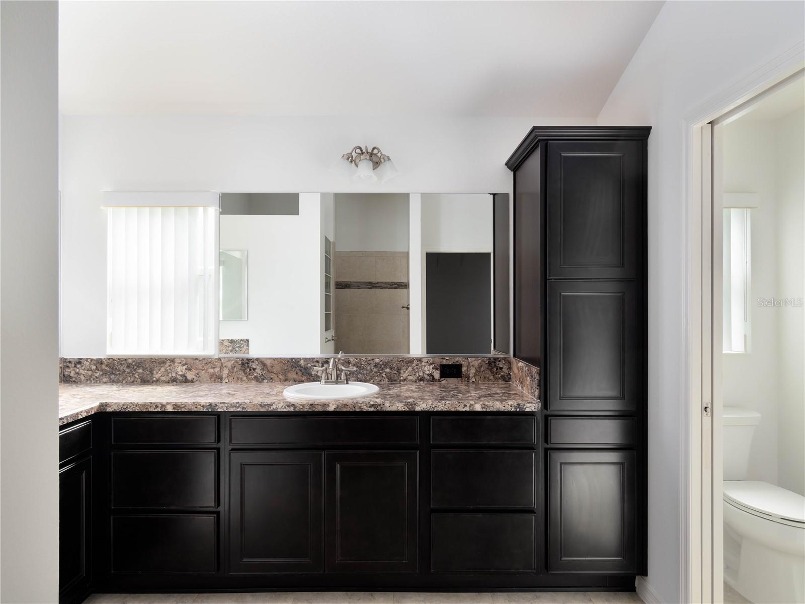 3942 ZENITH LOOP, THE VILLAGES, FL, 32163