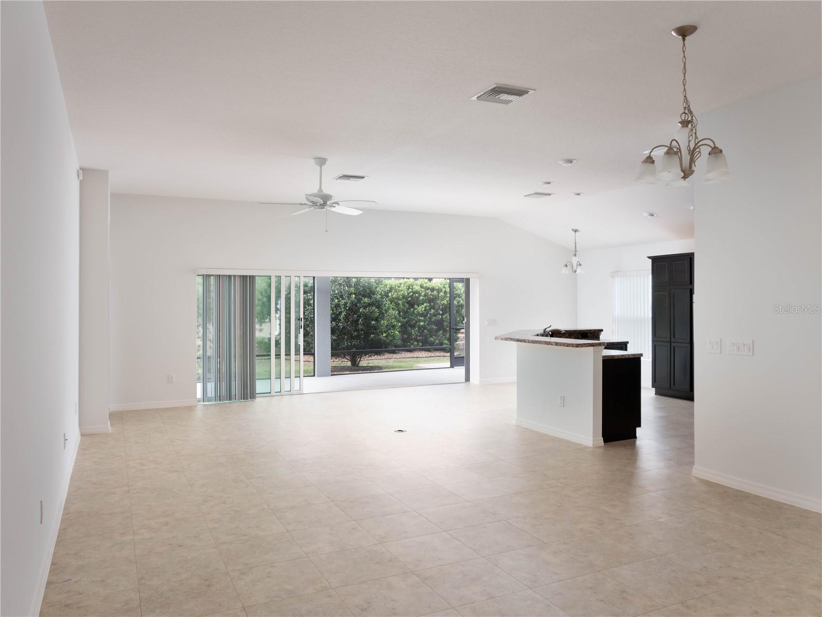 3942 ZENITH LOOP, THE VILLAGES, FL, 32163