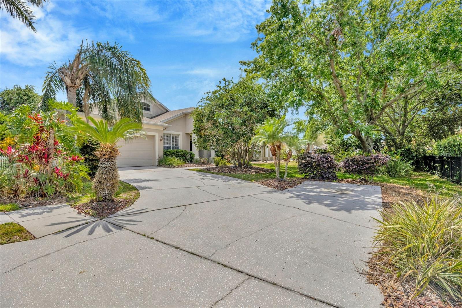 1905 FIREFERN CT, TRINITY, FL, 34655