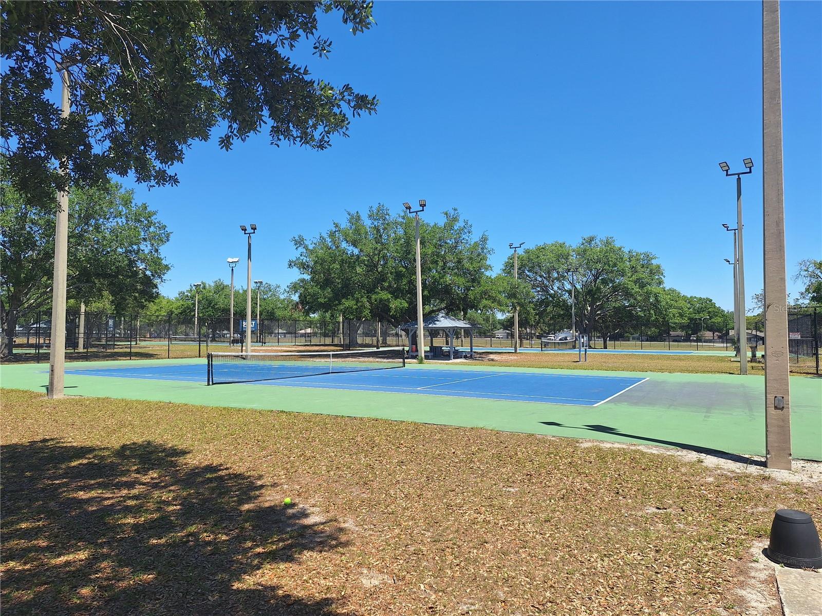 4503 SHEFFIELD RD, LAND O LAKES, FL, 34639