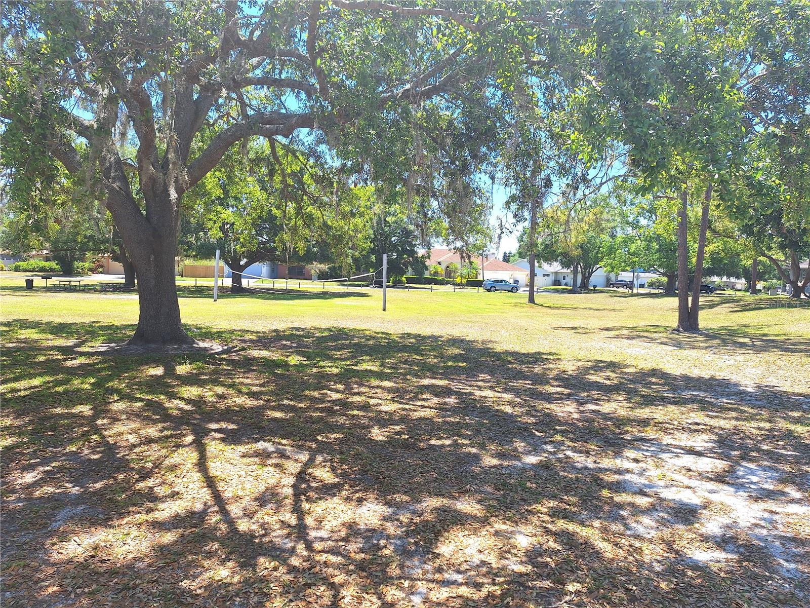 4503 SHEFFIELD RD, LAND O LAKES, FL, 34639