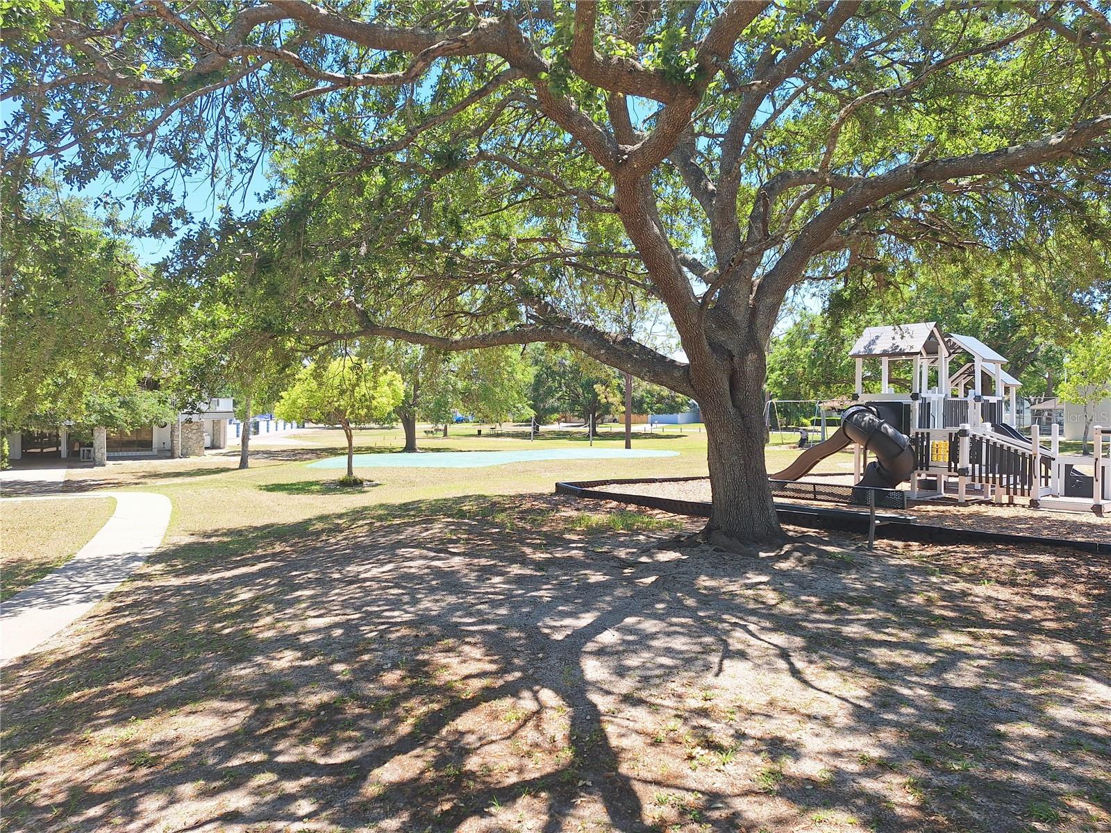 4503 SHEFFIELD RD, LAND O LAKES, FL, 34639