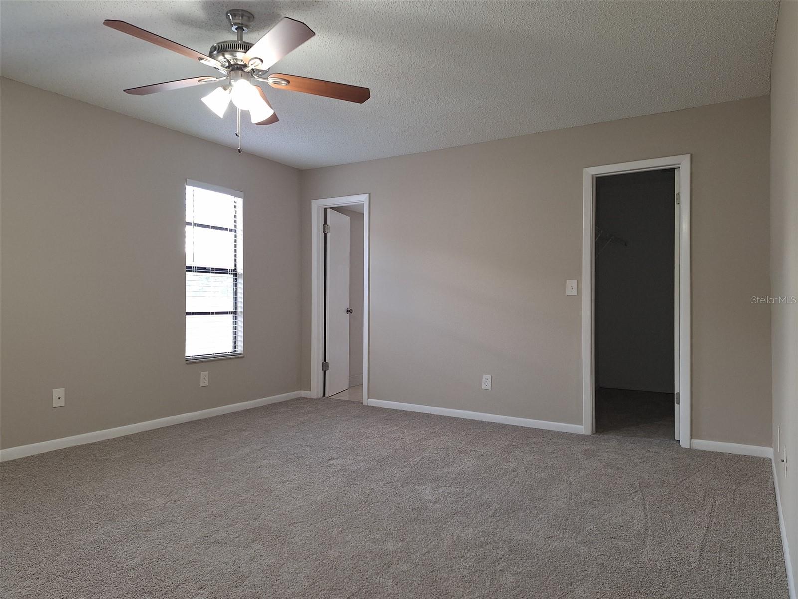 4503 SHEFFIELD RD, LAND O LAKES, FL, 34639