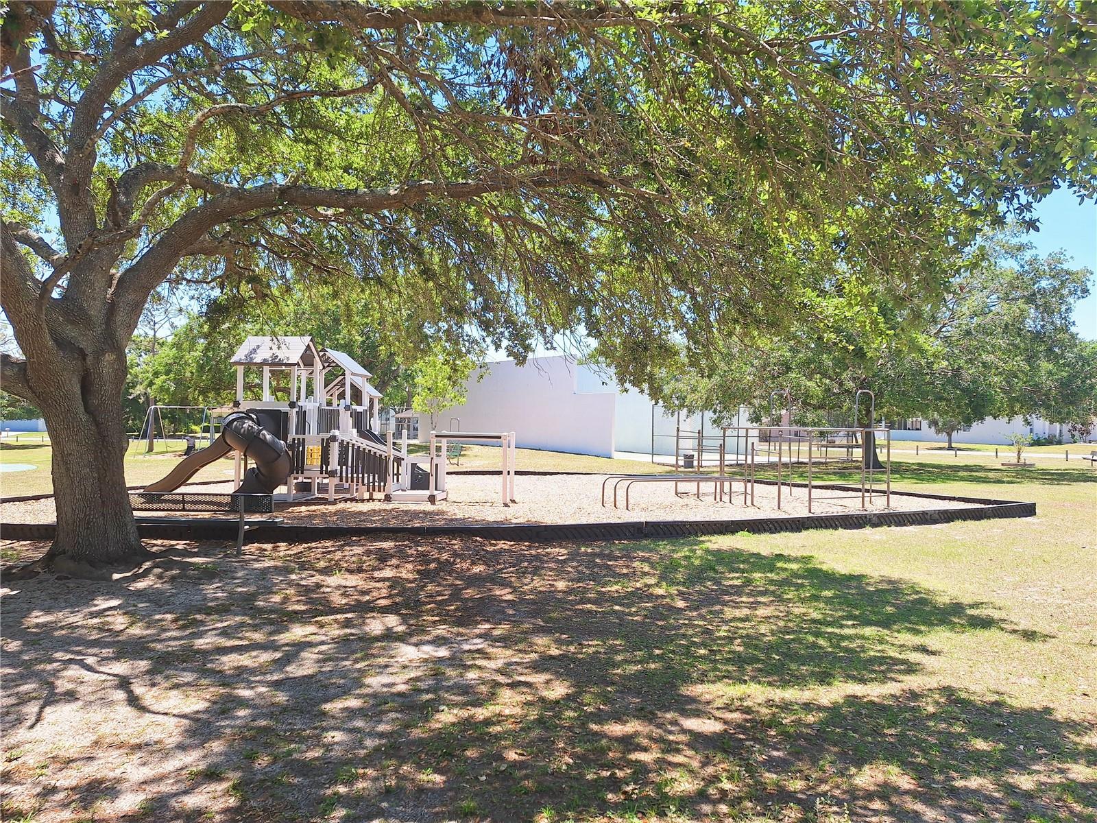 4503 SHEFFIELD RD, LAND O LAKES, FL, 34639