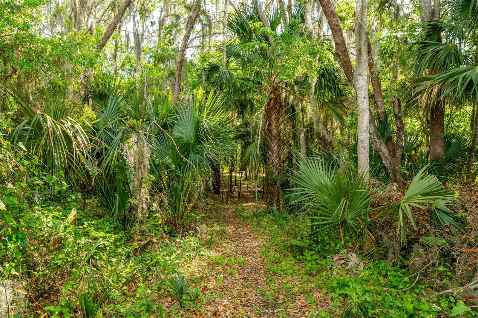 132 ROSA BELLA VW, DEBARY, FL, 32713
