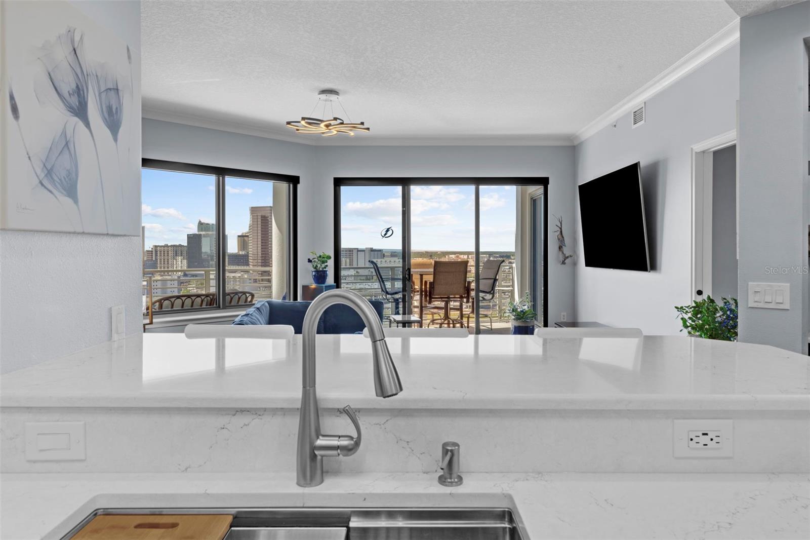 1209 E CUMBERLAND AVE #1702, TAMPA, FL, 33602