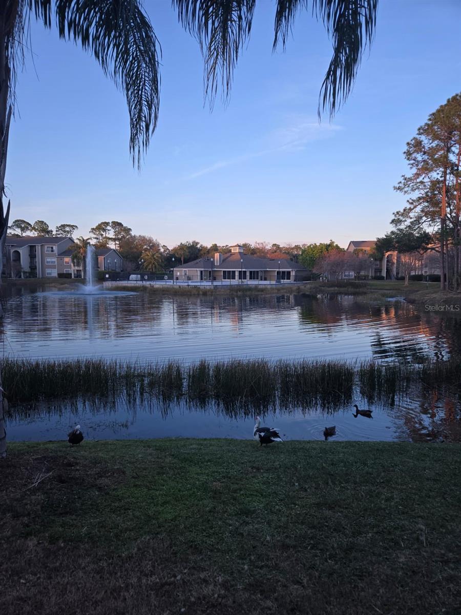4752 WALDEN CIR #38, ORLANDO, FL, 32811