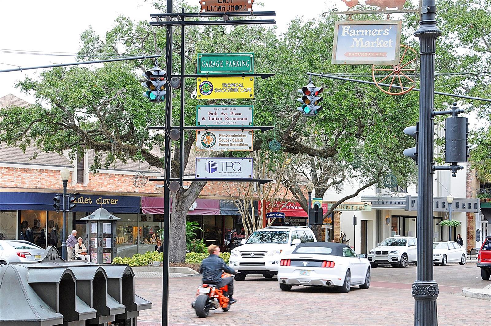 1037 N VIRGINIA AVE, WINTER PARK, FL, 32789