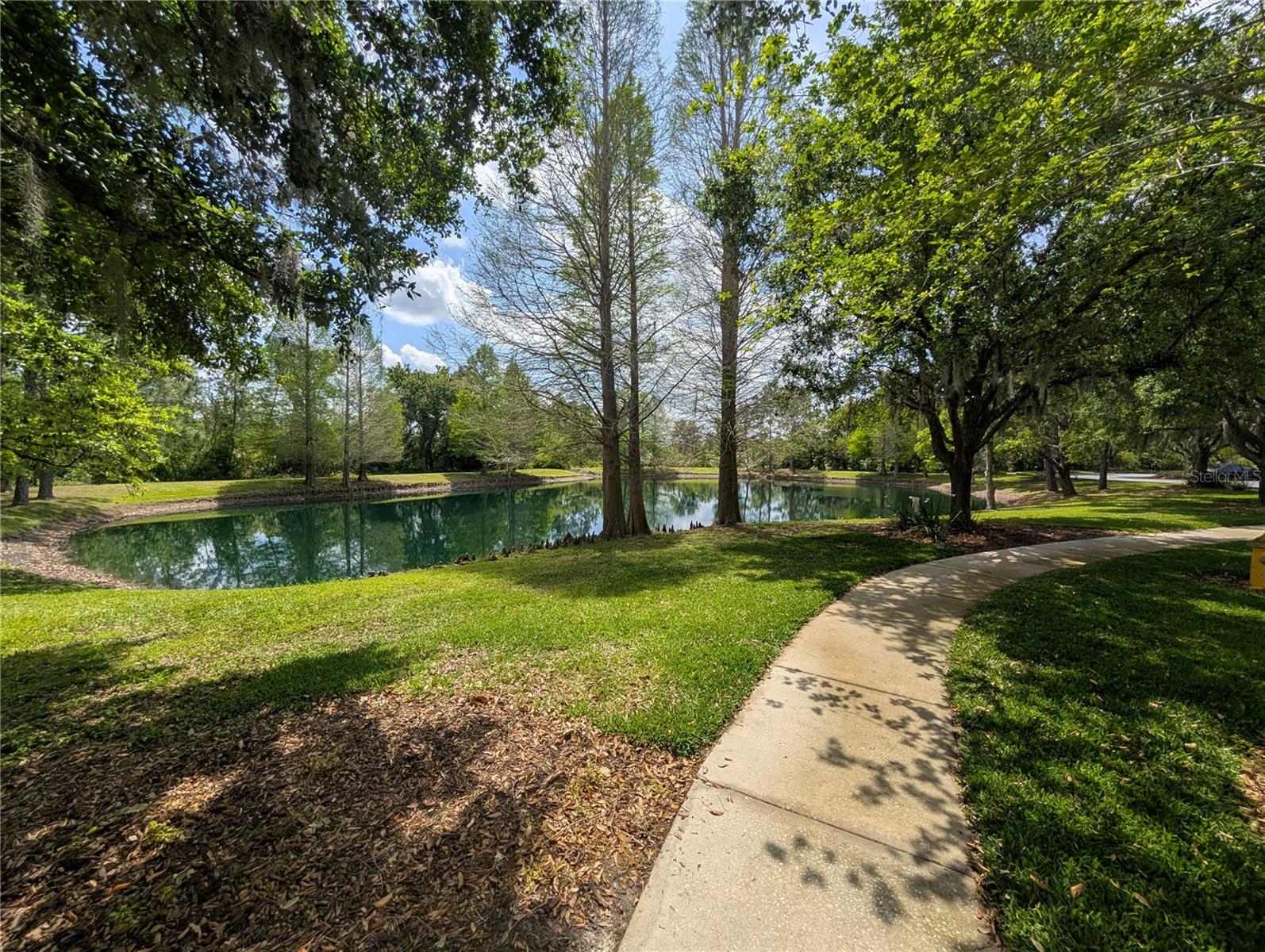 MEADOW POINTE 04 PRCL K, WESLEY CHAPEL, FL, 33543