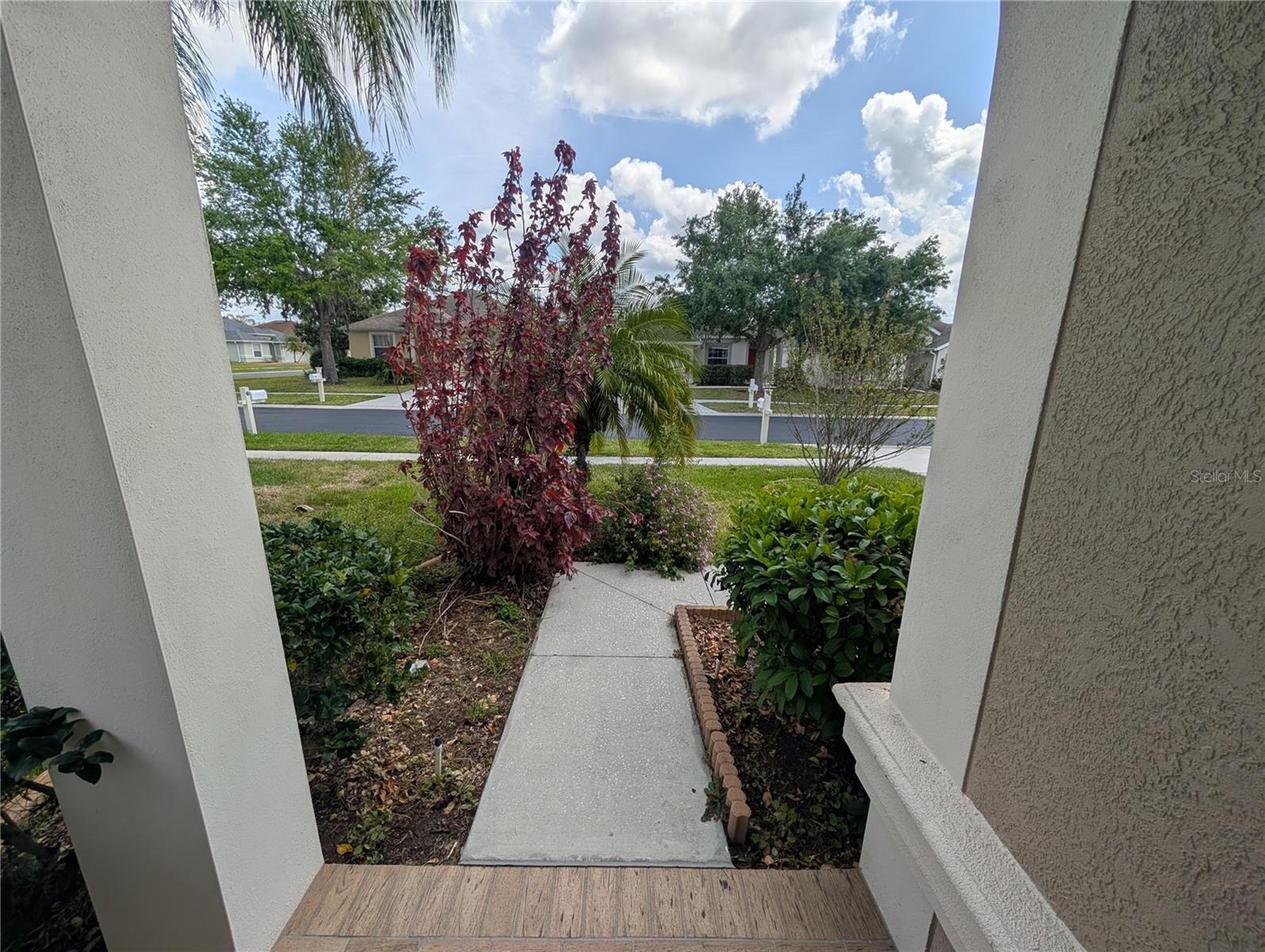 MEADOW POINTE 04 PRCL K, WESLEY CHAPEL, FL, 33543