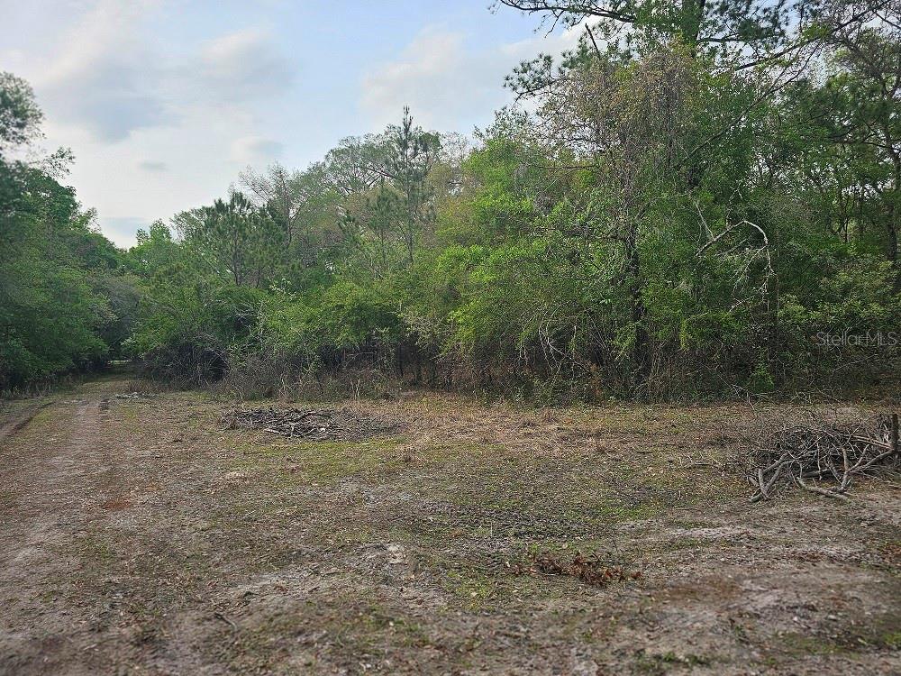 0 COLONEL AVE, WEBSTER, FL, 33597