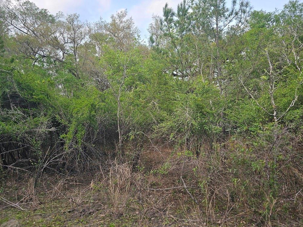 0 COLONEL AVE, WEBSTER, FL, 33597