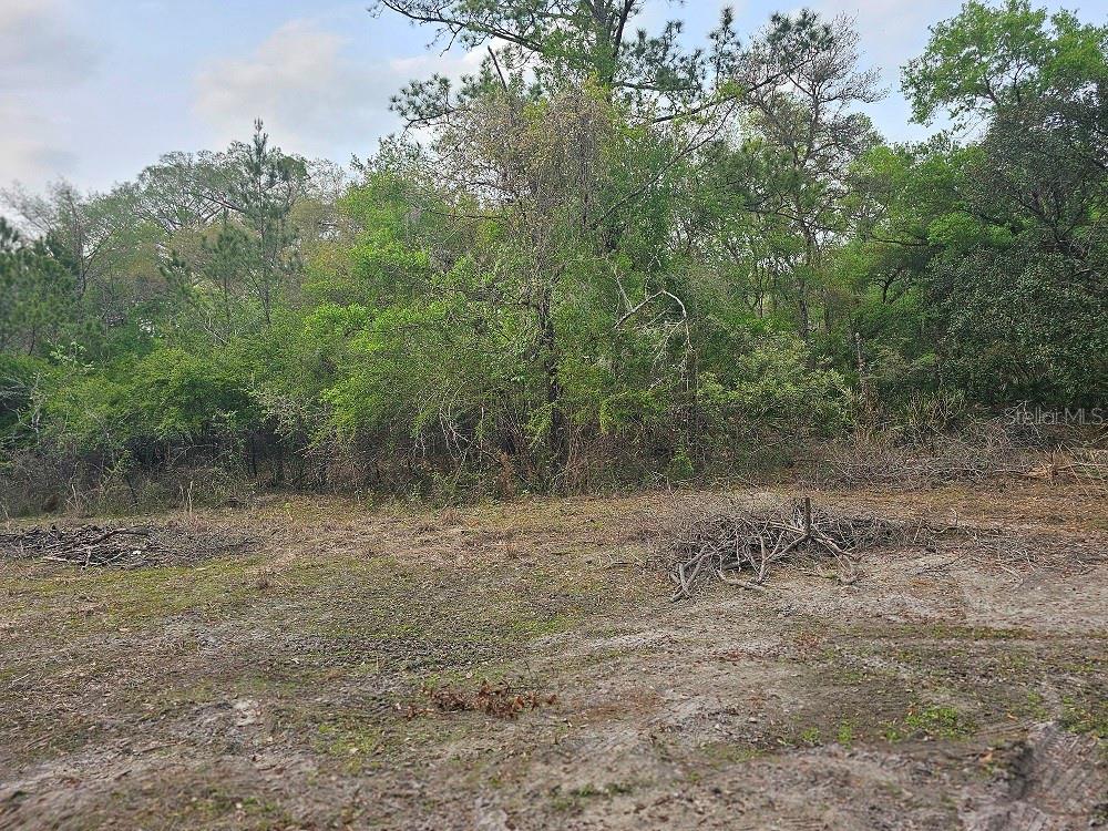 0 COLONEL AVE, WEBSTER, FL, 33597