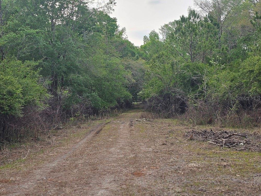 0 COLONEL AVE, WEBSTER, FL, 33597