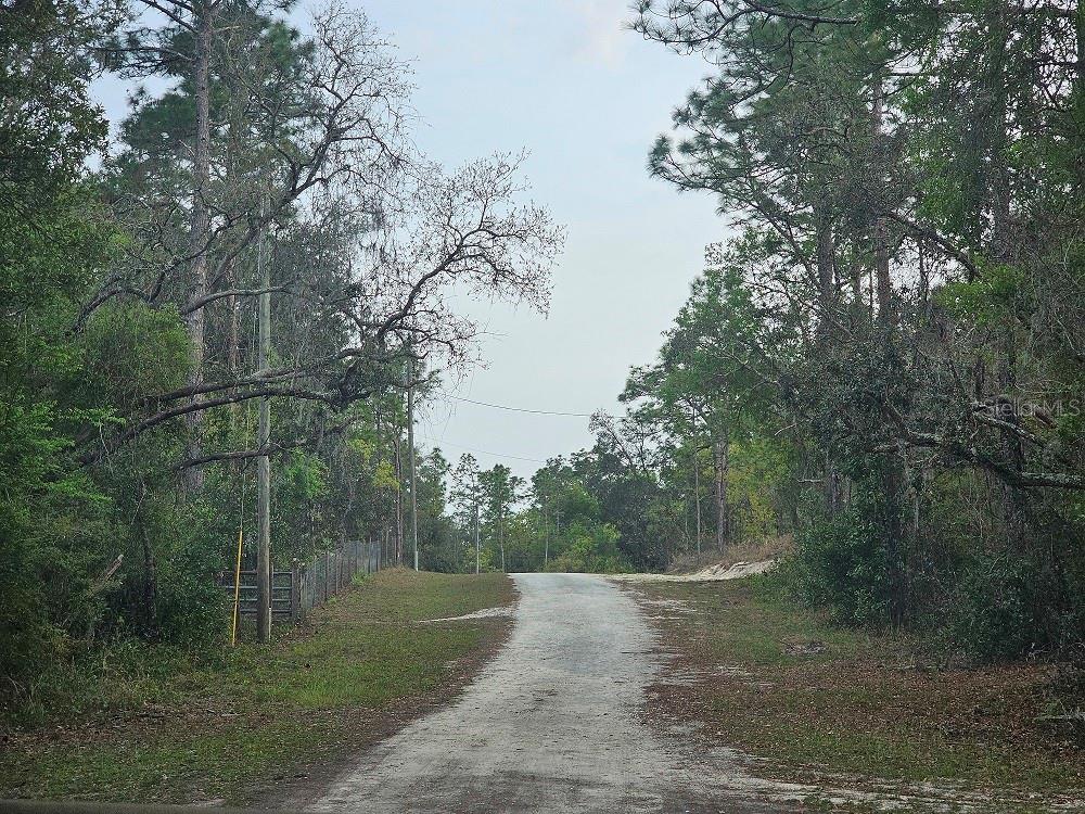 0 COLONEL AVE, WEBSTER, FL, 33597