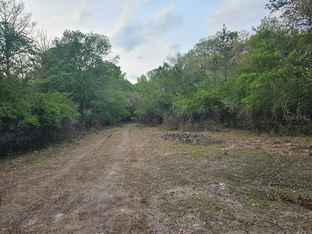 0 COLONEL AVE, WEBSTER, FL, 33597