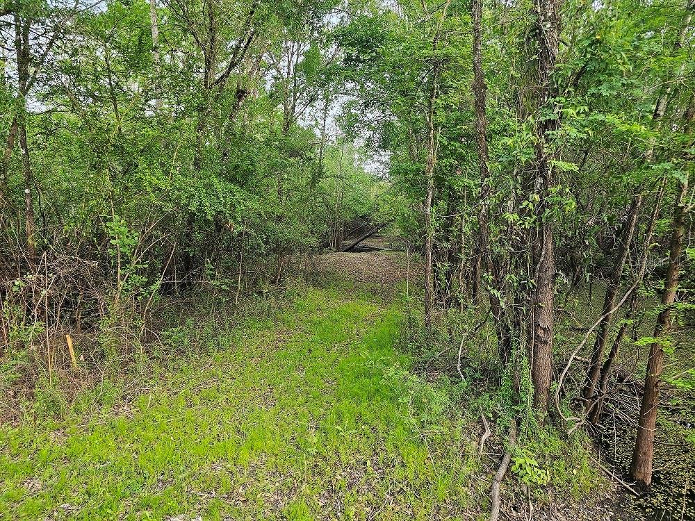 0 COLONEL AVE, WEBSTER, FL, 33597