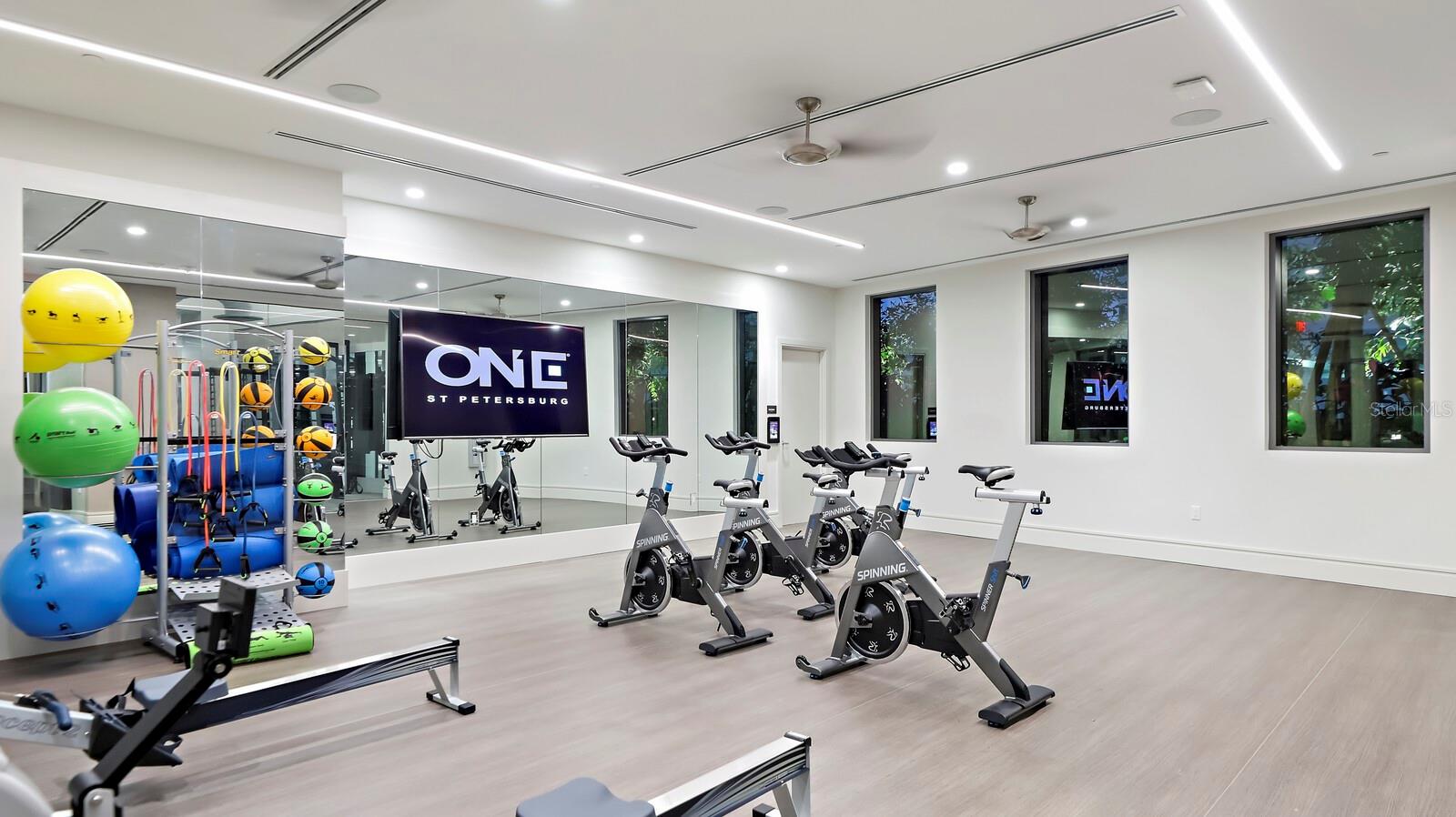 100 1ST AVE N #2606, ST PETERSBURG, FL, 33701
