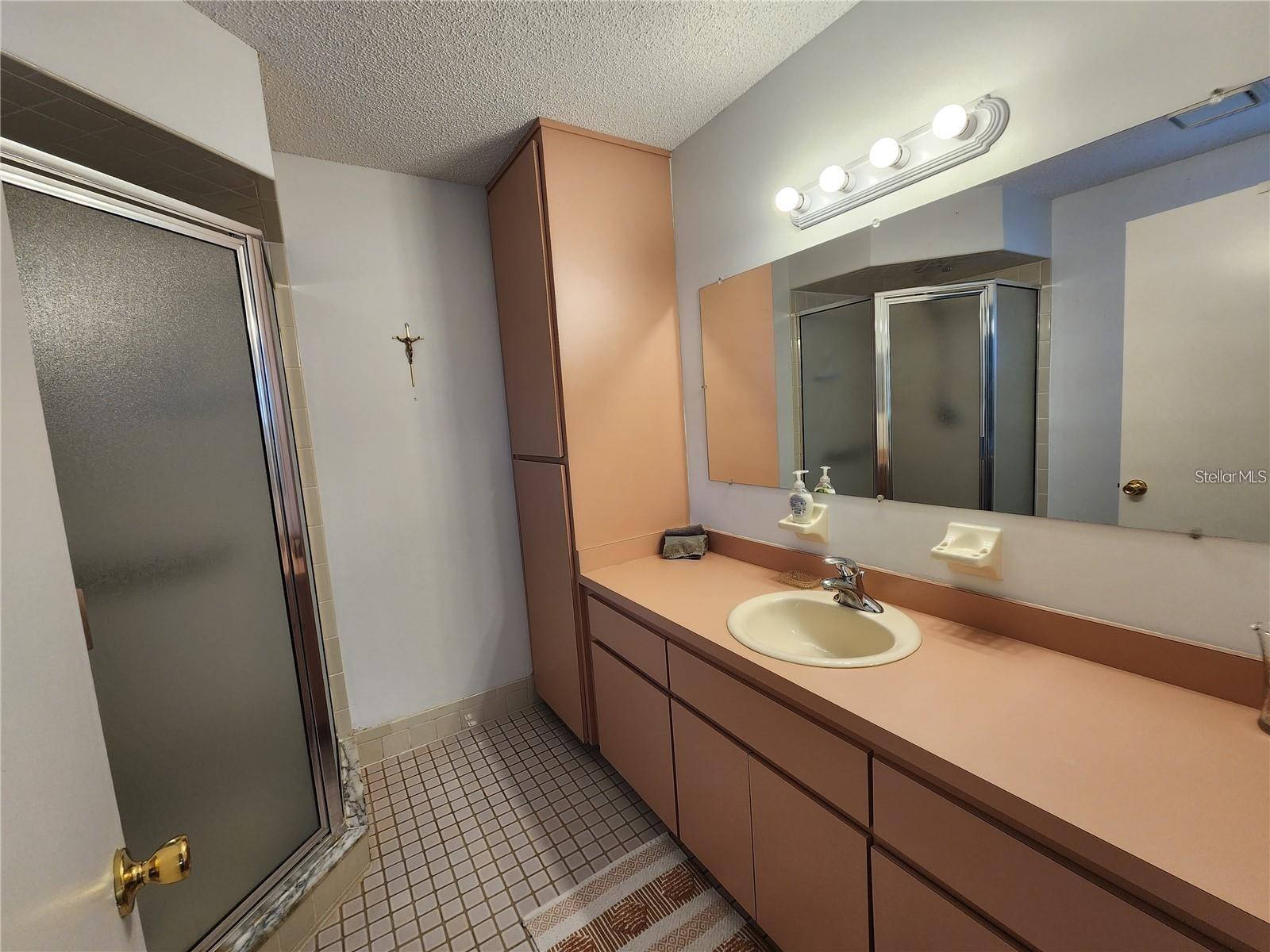 17585 SE 105TH TER, SUMMERFIELD, FL, 34491