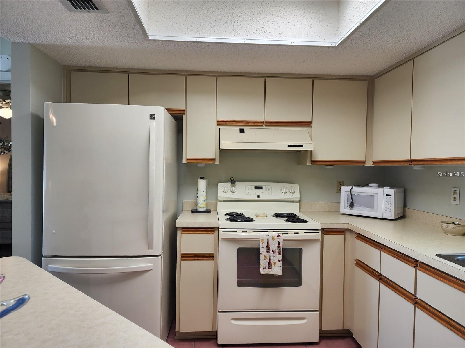 17585 SE 105TH TER, SUMMERFIELD, FL, 34491