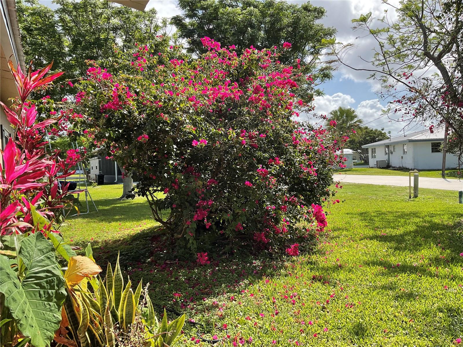 3605 SE 21ST AVE, OKEECHOBEE, FL, 34974