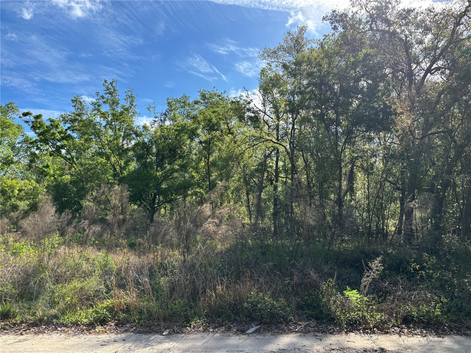 11042 BOUNTY ST, NEW PORT RICHEY, FL, 34654