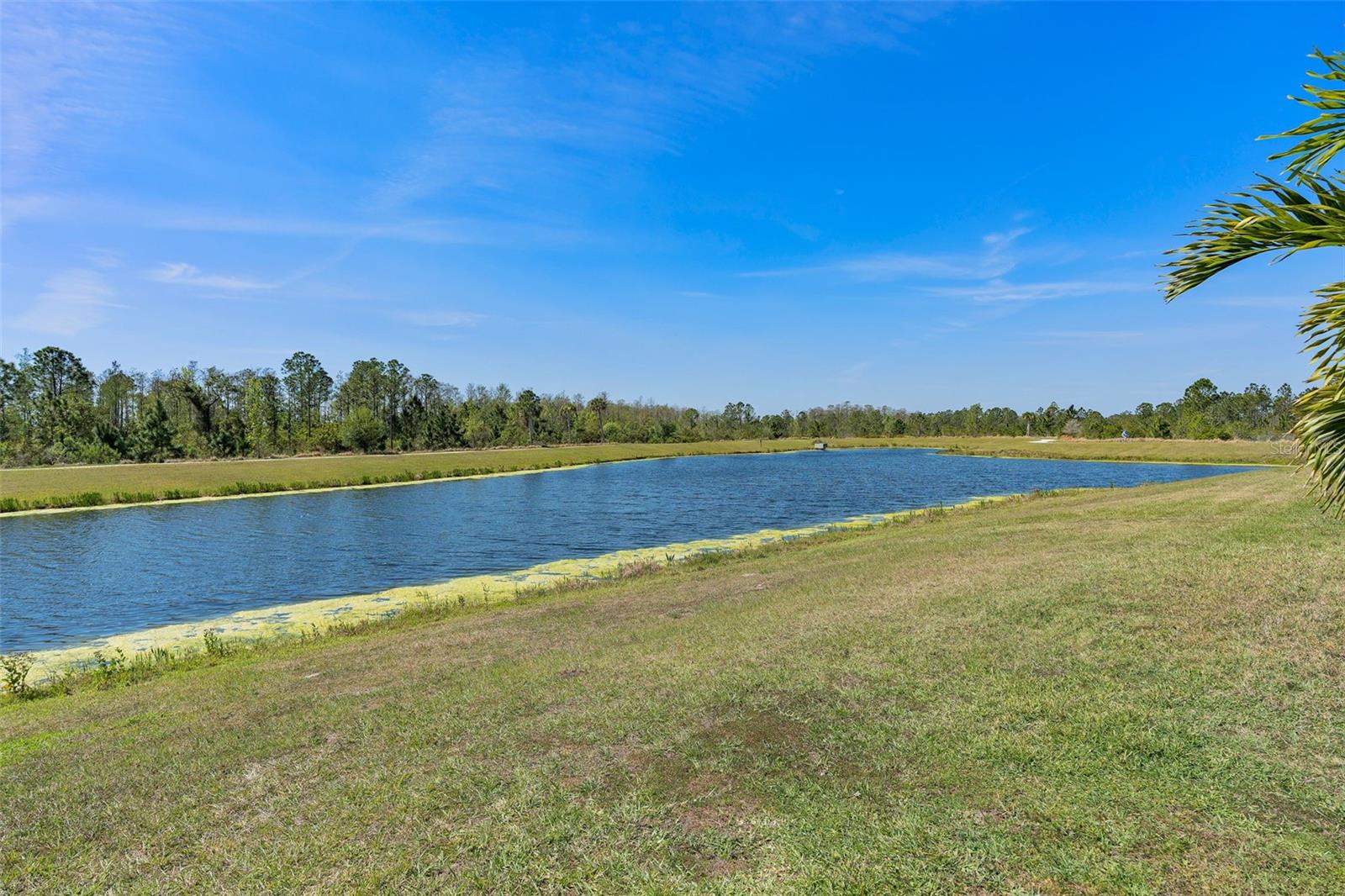 14765 WALCOTT AVE, ORLANDO, FL, 32827