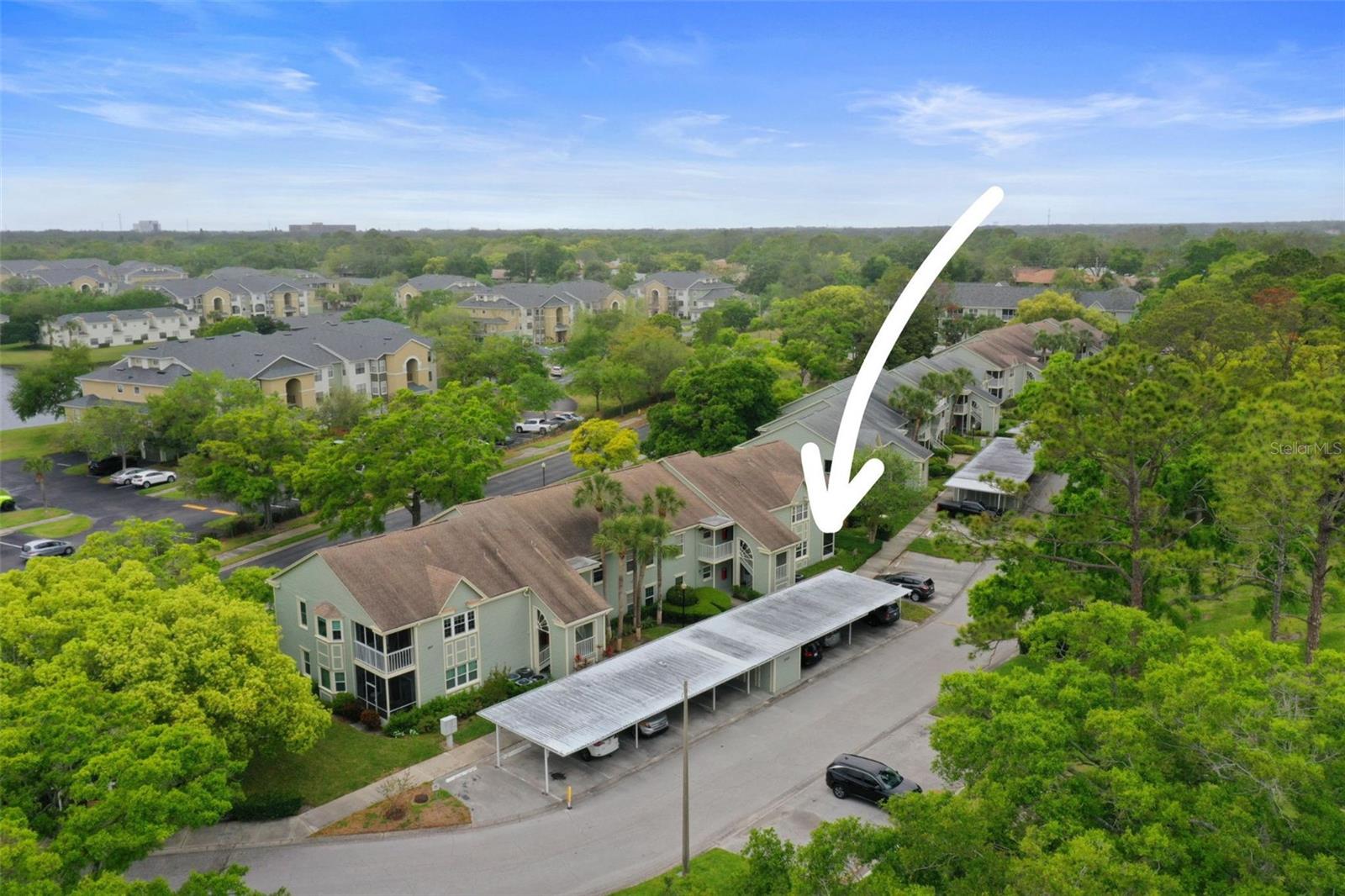 240 PROMENADE DR #104, DUNEDIN, FL, 34698