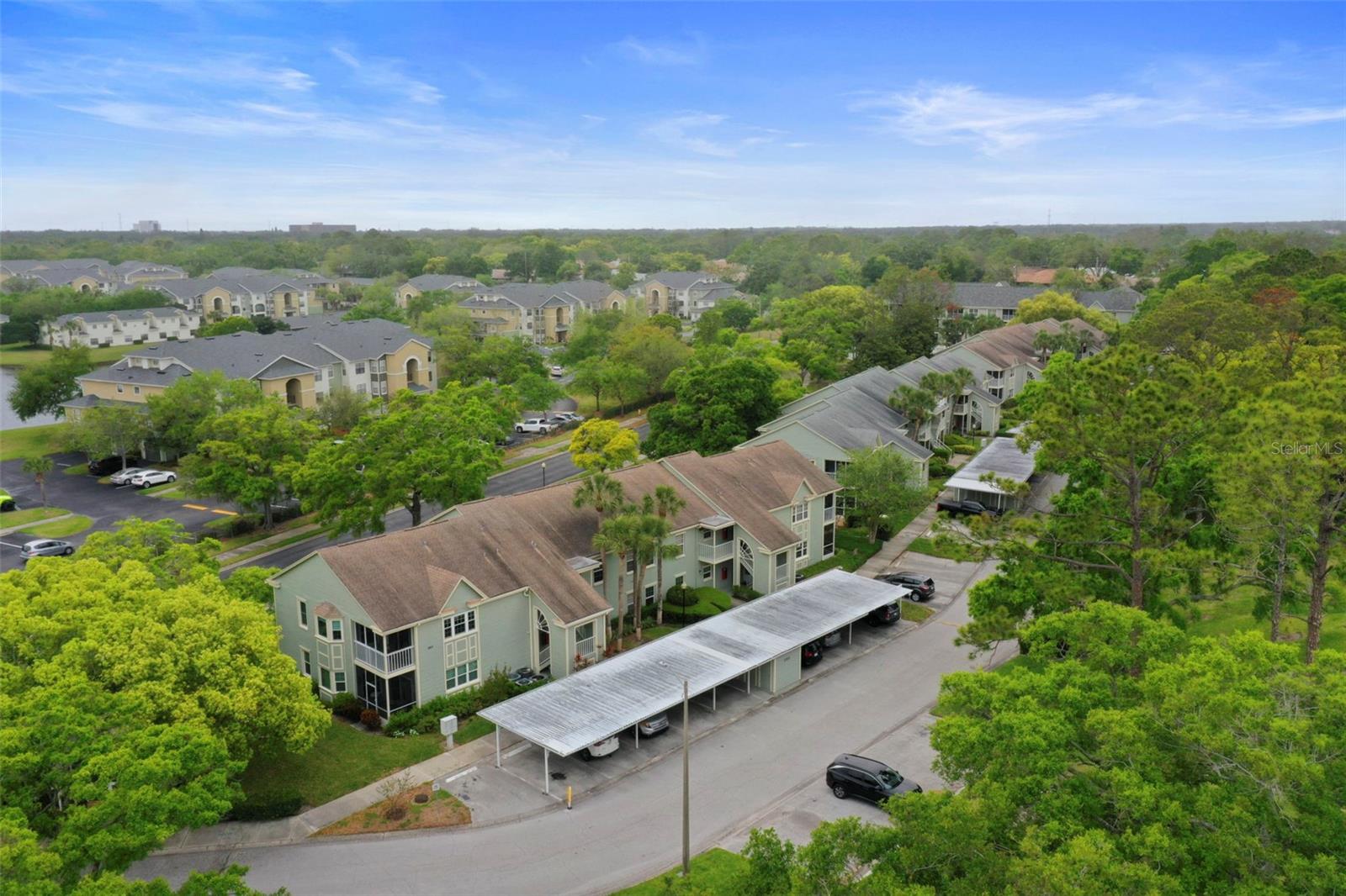 240 PROMENADE DR #104, DUNEDIN, FL, 34698