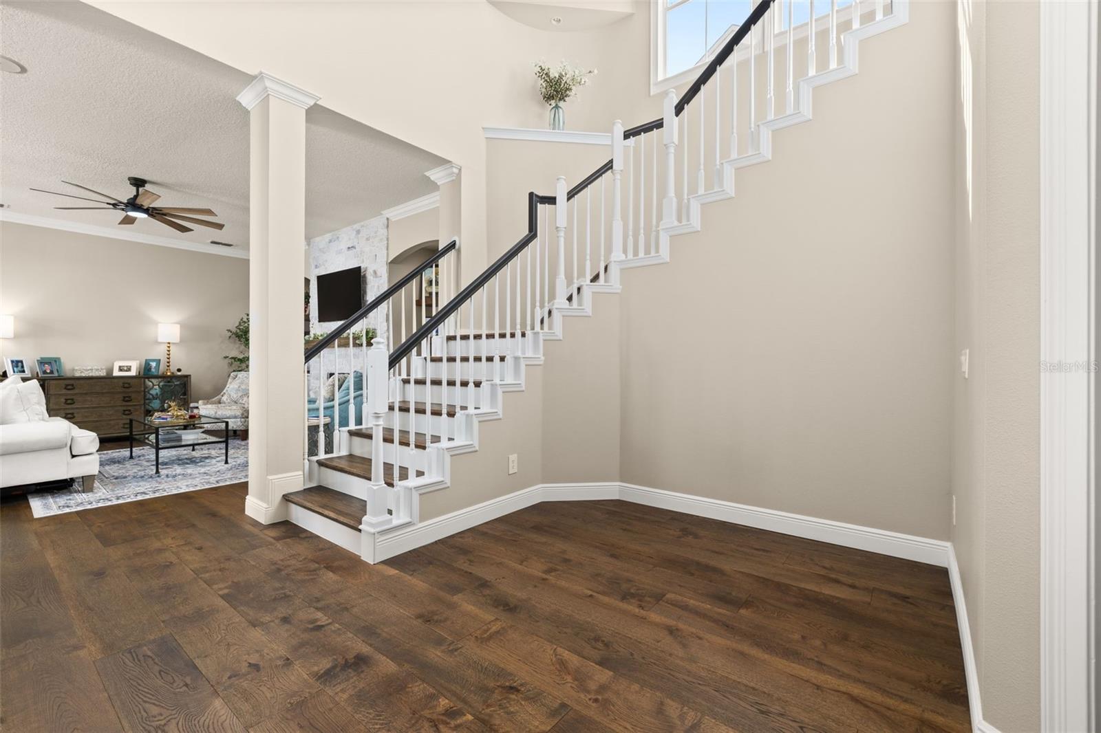 1005 WILD ELM ST, CELEBRATION, FL, 34747