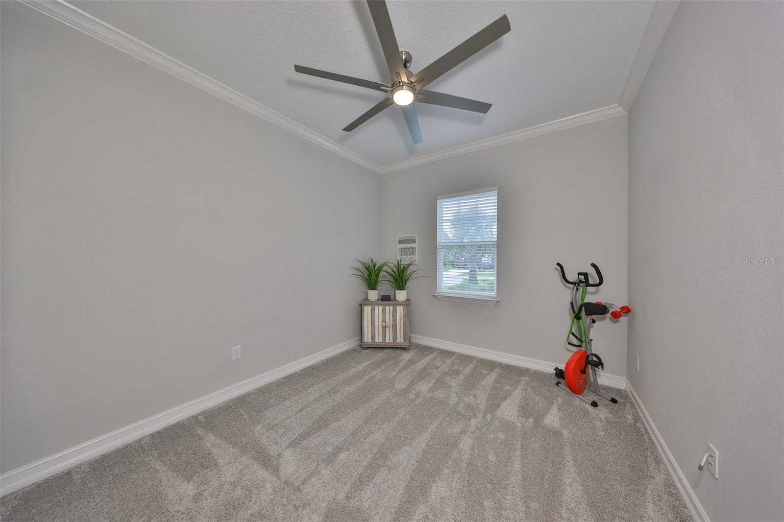 17811 NEWCASTLE FIELD DR, LUTZ, FL, 33559