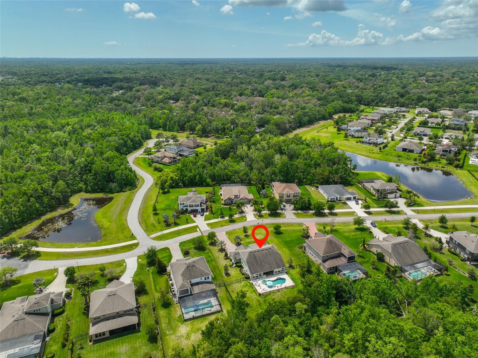 17811 NEWCASTLE FIELD DR, LUTZ, FL, 33559
