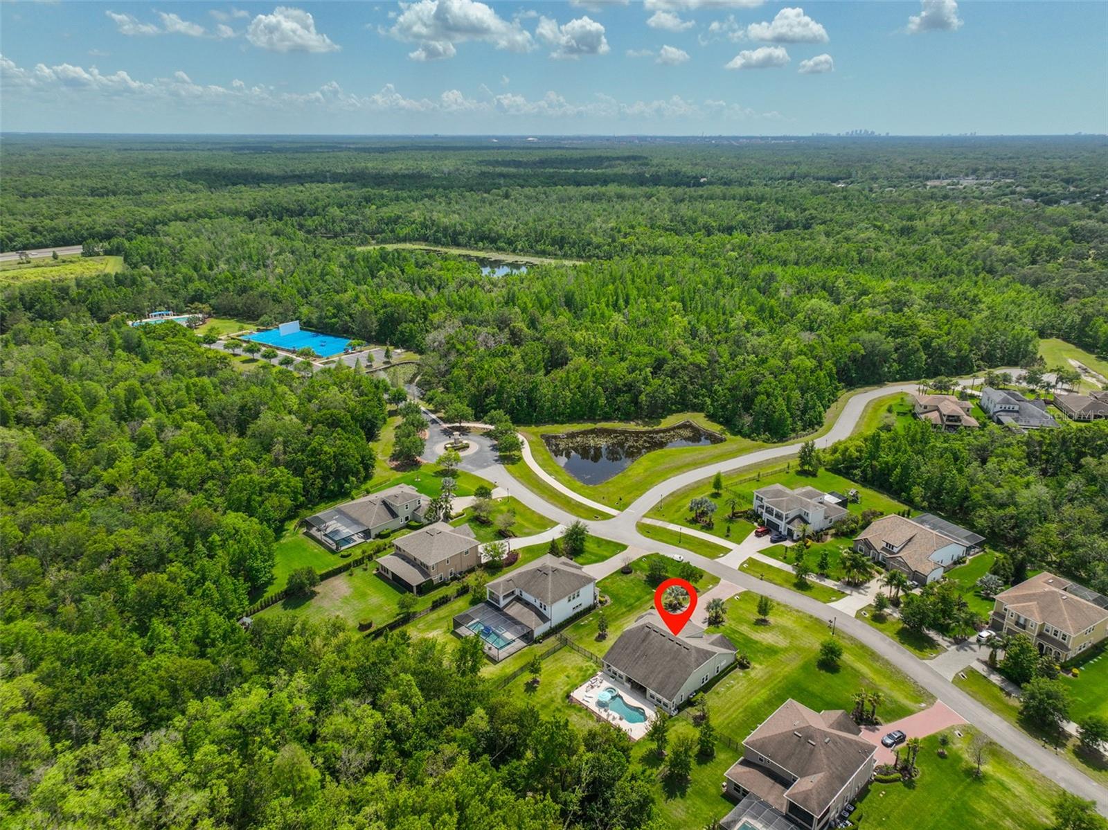17811 NEWCASTLE FIELD DR, LUTZ, FL, 33559